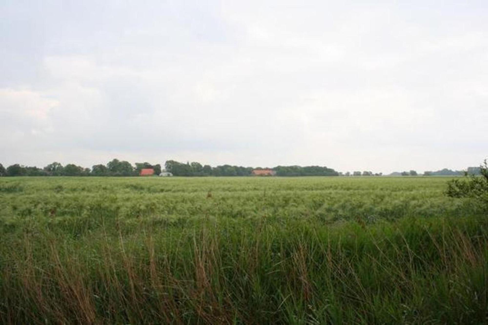 Ferienhaus 3370 In Tossens Stick Bagian luar foto
